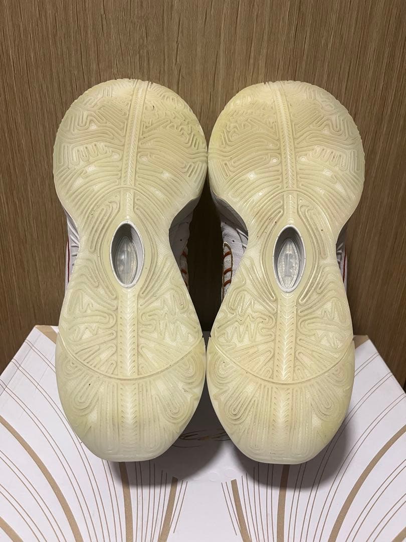 ナイキ レブロン21（NIKE LEBRON XXI）