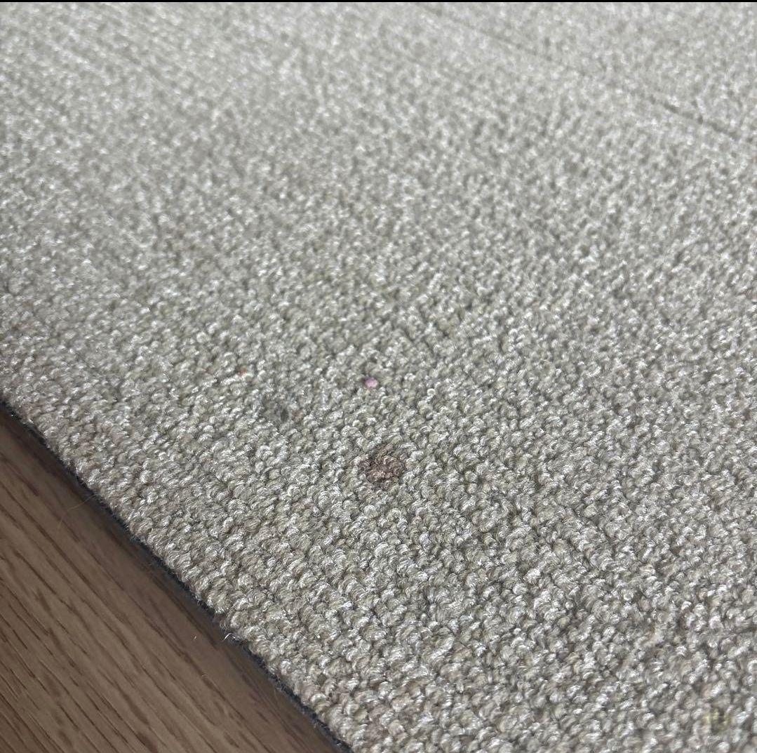 防音専科　mute ベージュ　12枚