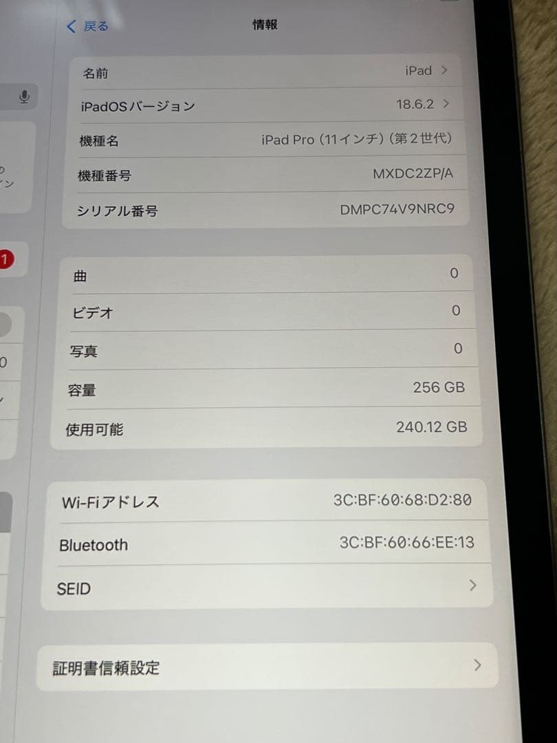 Apple iPad Pro 11インチ 第2世代　256GB