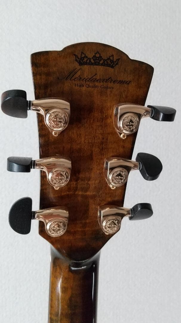 Merida / WAVE　アコースティックギター　ほぼ新品未使用