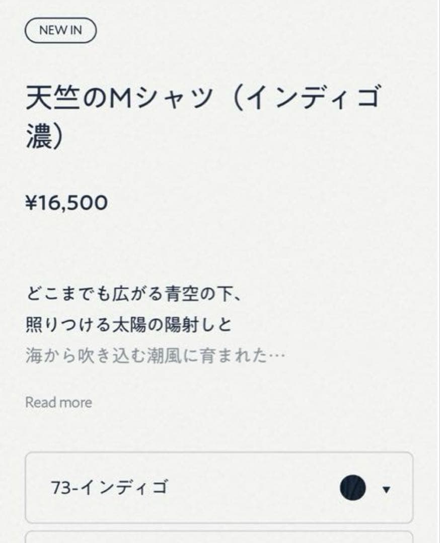 45R 天竺のMシャツ(インディゴ) 45R tシャツ　　　ぺーぺーくん刺繍