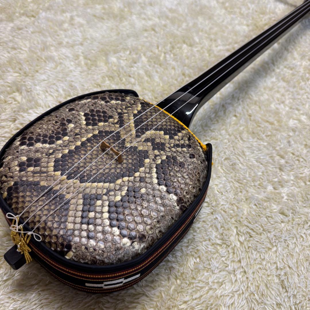 沖縄　三線　蛇皮　琉球 弦楽器　ケース他