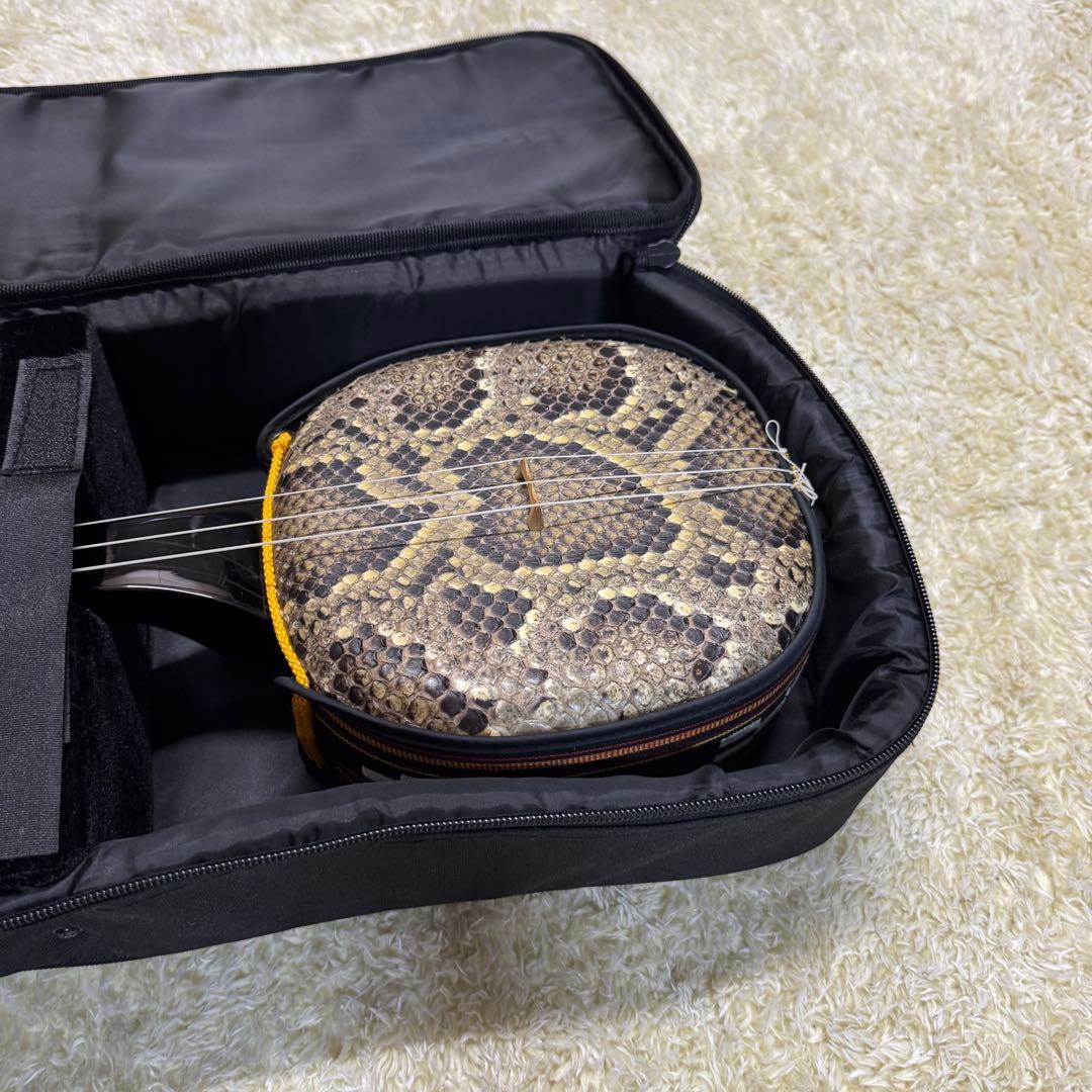 沖縄　三線　蛇皮　琉球 弦楽器　ケース他