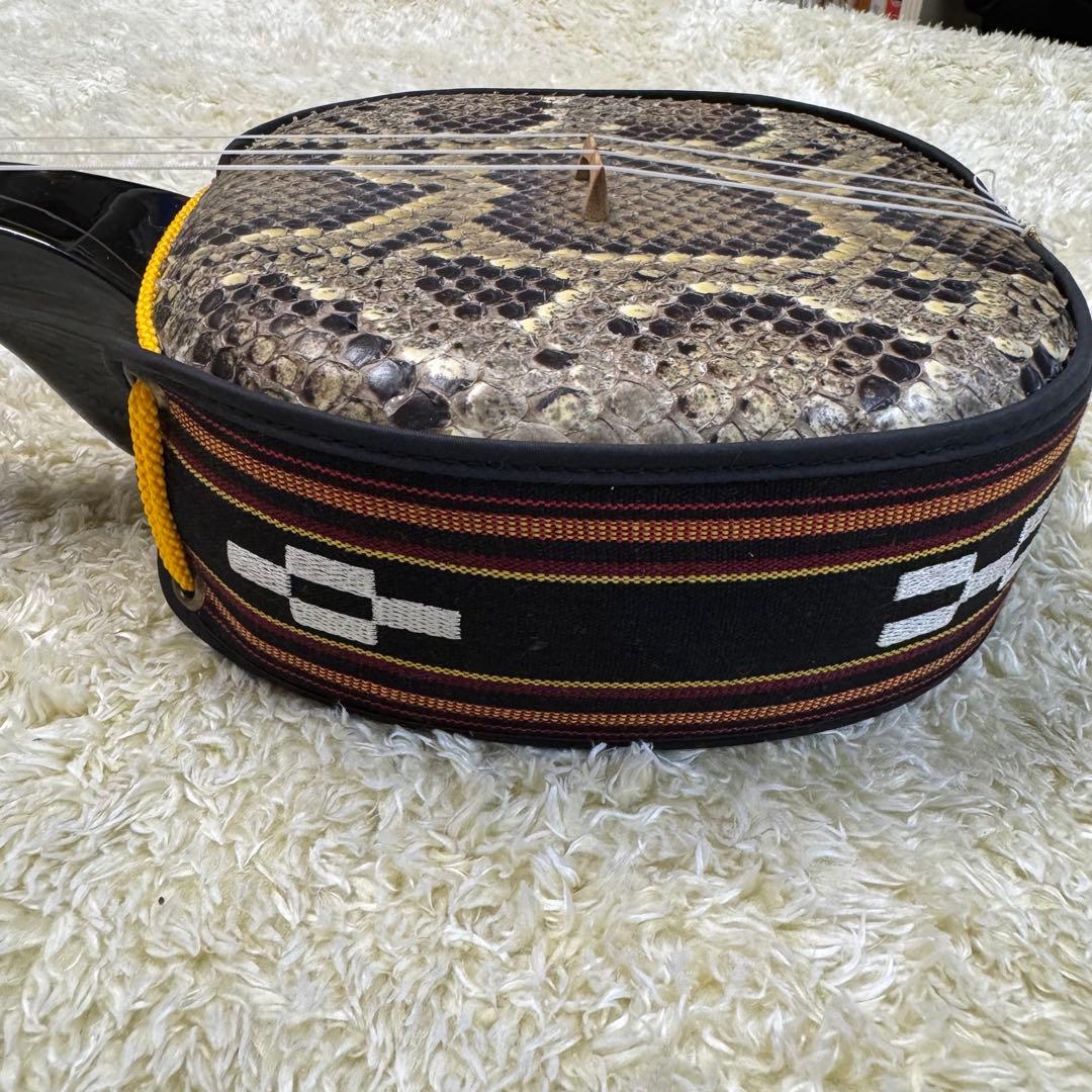 沖縄　三線　蛇皮　琉球 弦楽器　ケース他