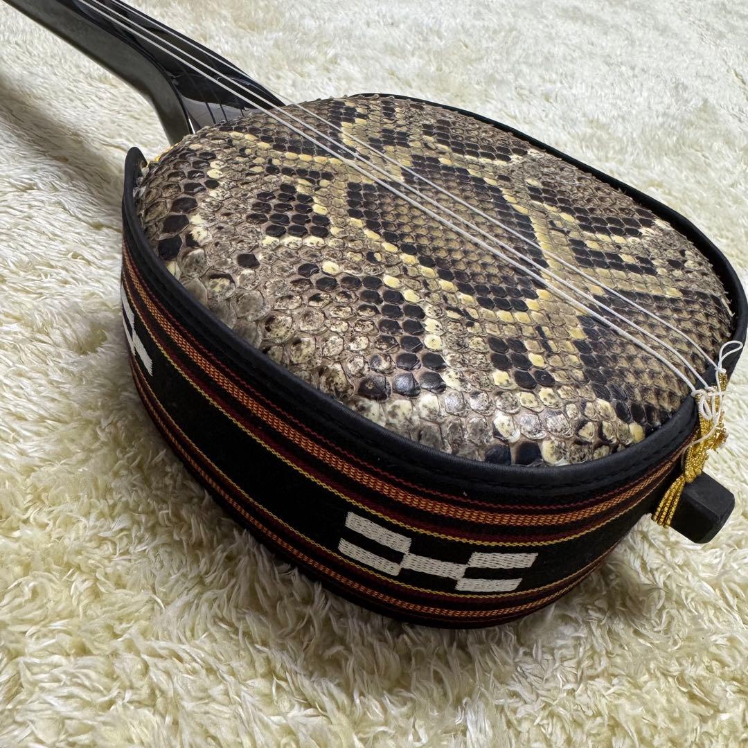 沖縄　三線　蛇皮　琉球 弦楽器　ケース他