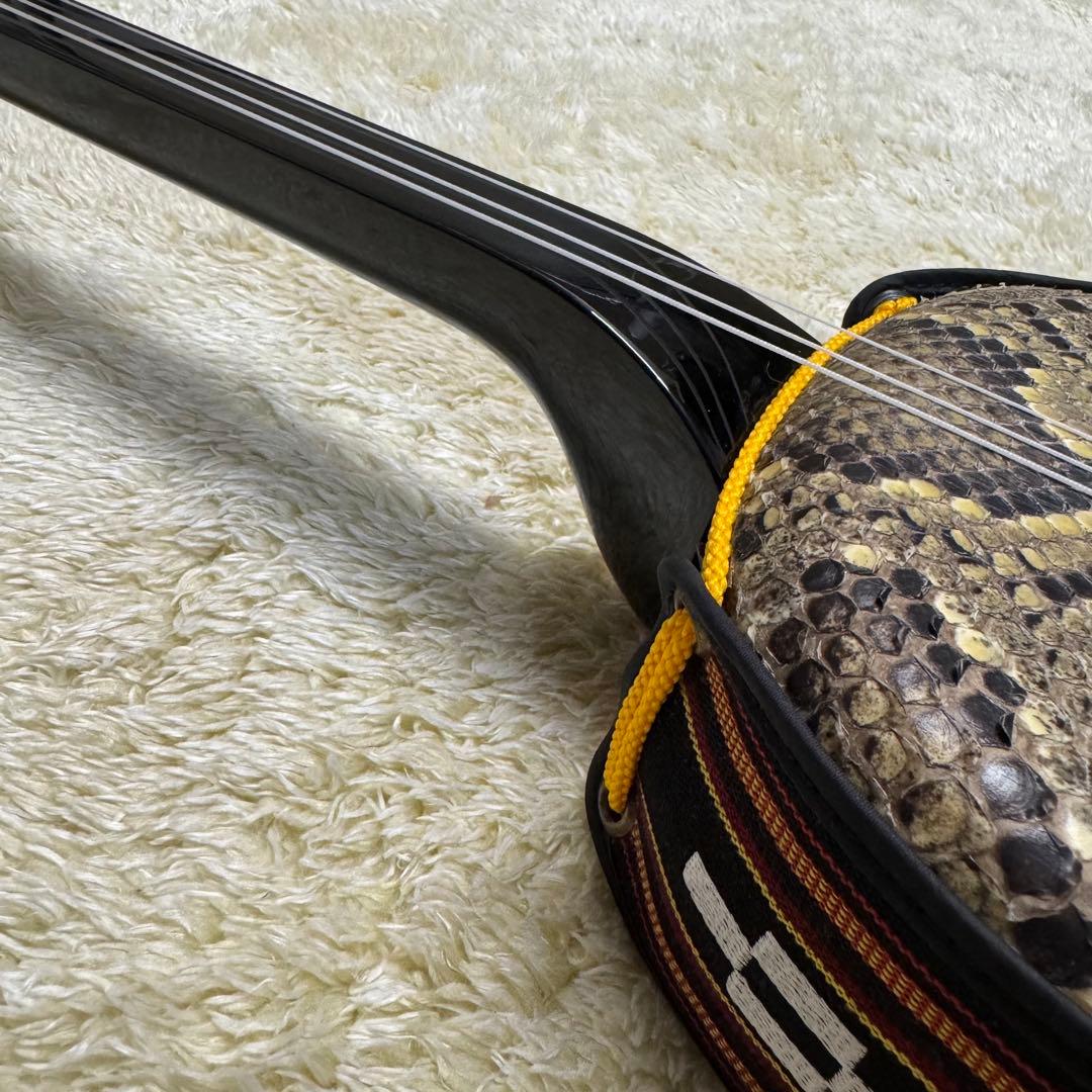 沖縄　三線　蛇皮　琉球 弦楽器　ケース他