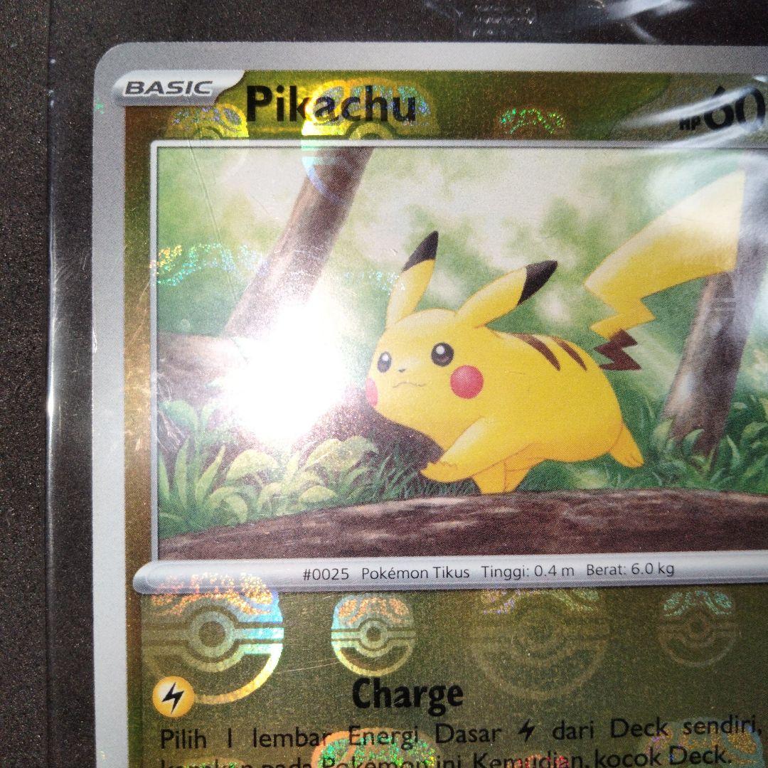 秘蔵 未開封 大会 優勝商品 ピカチュウ マスターボール プロモ 英語