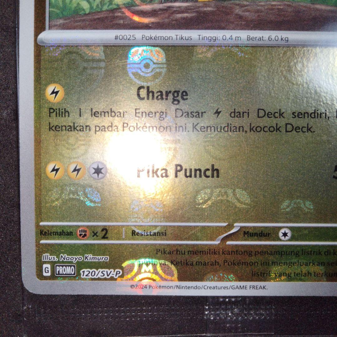 秘蔵 未開封 大会 優勝商品 ピカチュウ マスターボール プロモ 英語