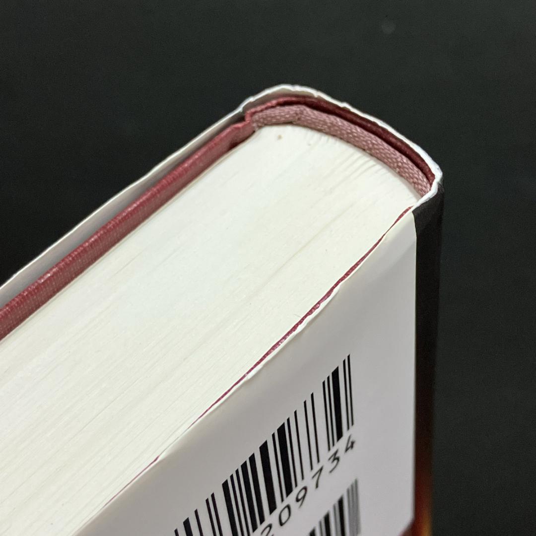 オーム社「電食防止・電気防食ハンドブック」