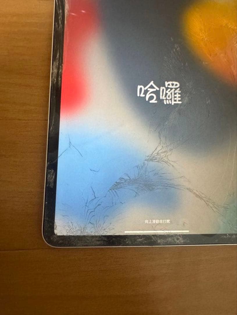 放*後様 iPad Pro 11インチ