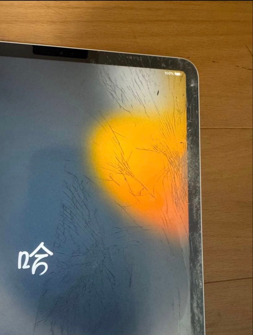 放*後様 iPad Pro 11インチ