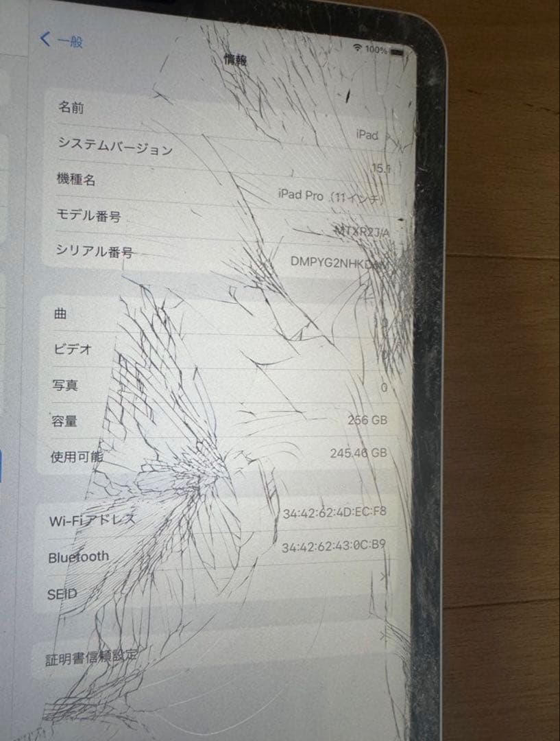 放*後様 iPad Pro 11インチ