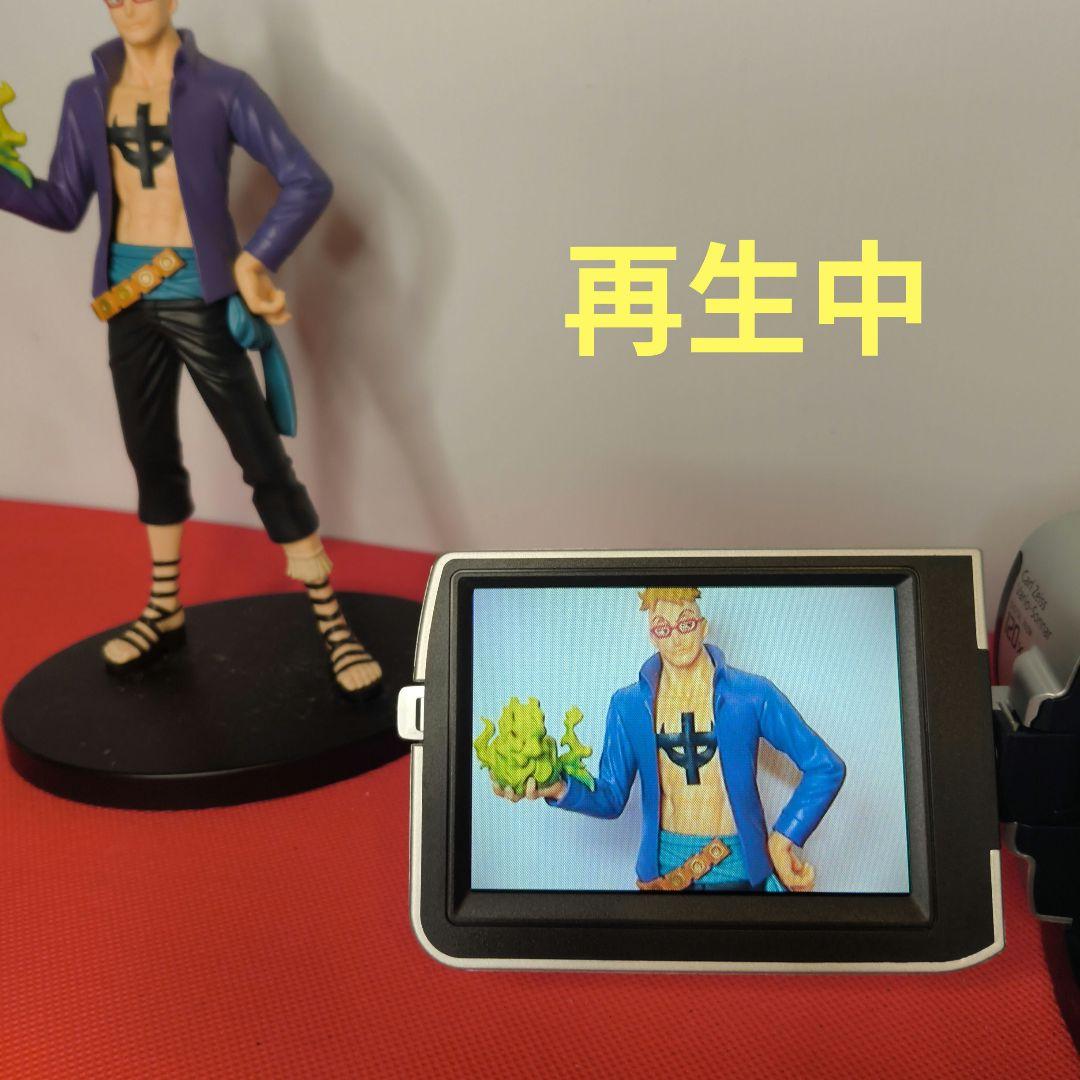 【動作確認済】SONY ソニーDCR-TRV107 ミニDV ビデオカメラ