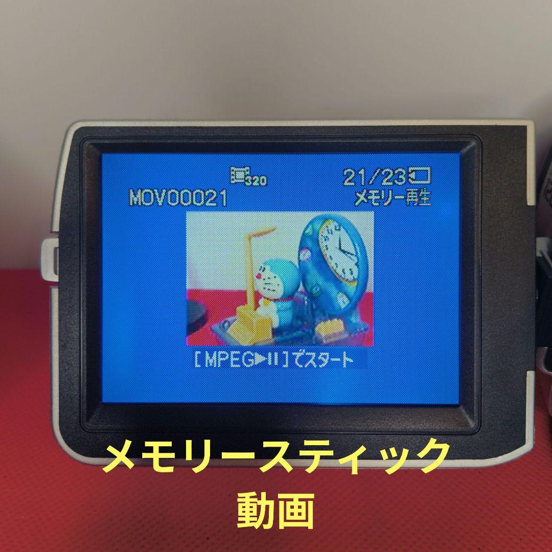 【動作確認済】SONY ソニーDCR-TRV107 ミニDV ビデオカメラ