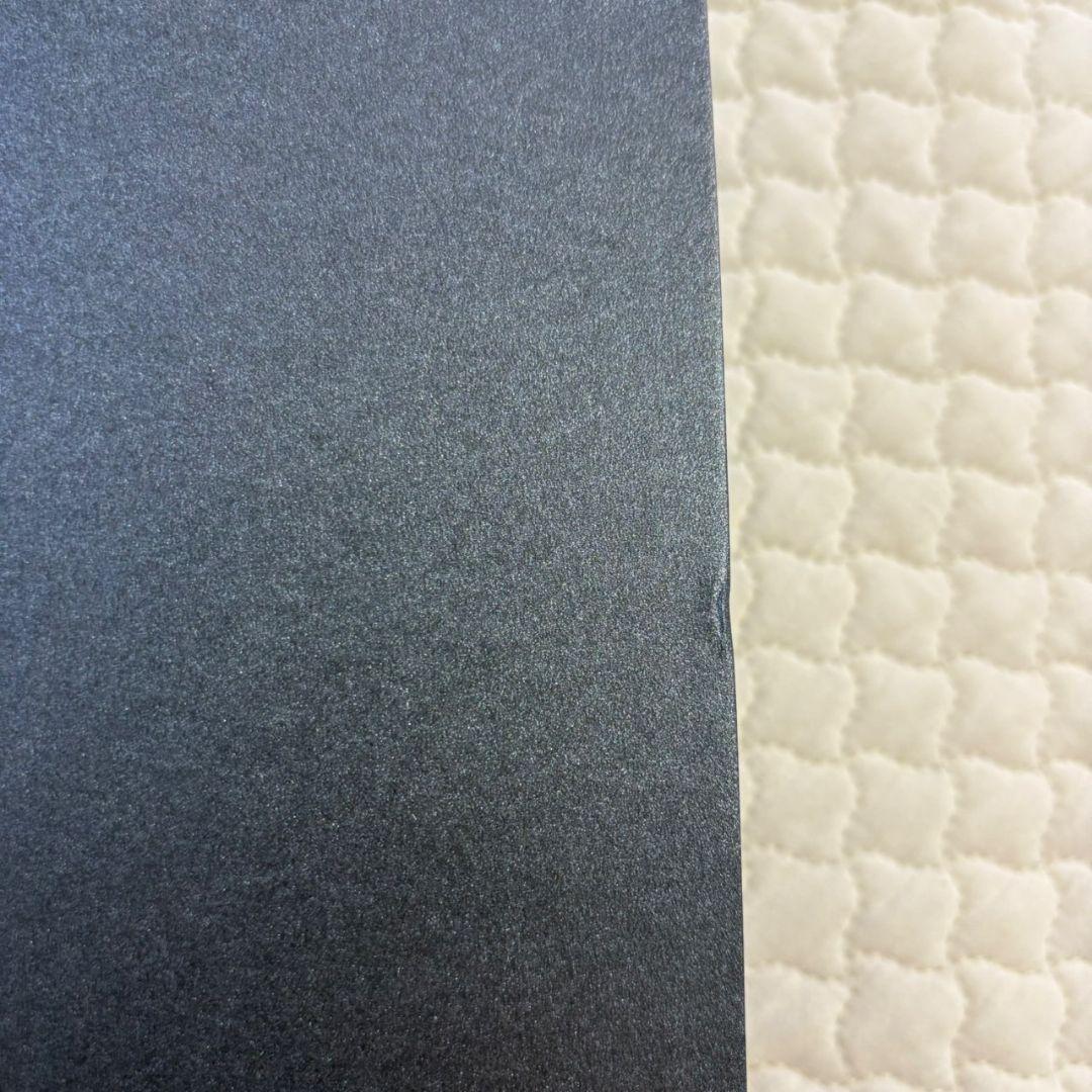 【ポポさん専用】BONIQ Pro2 BNQ-11 ノーブルシルバー