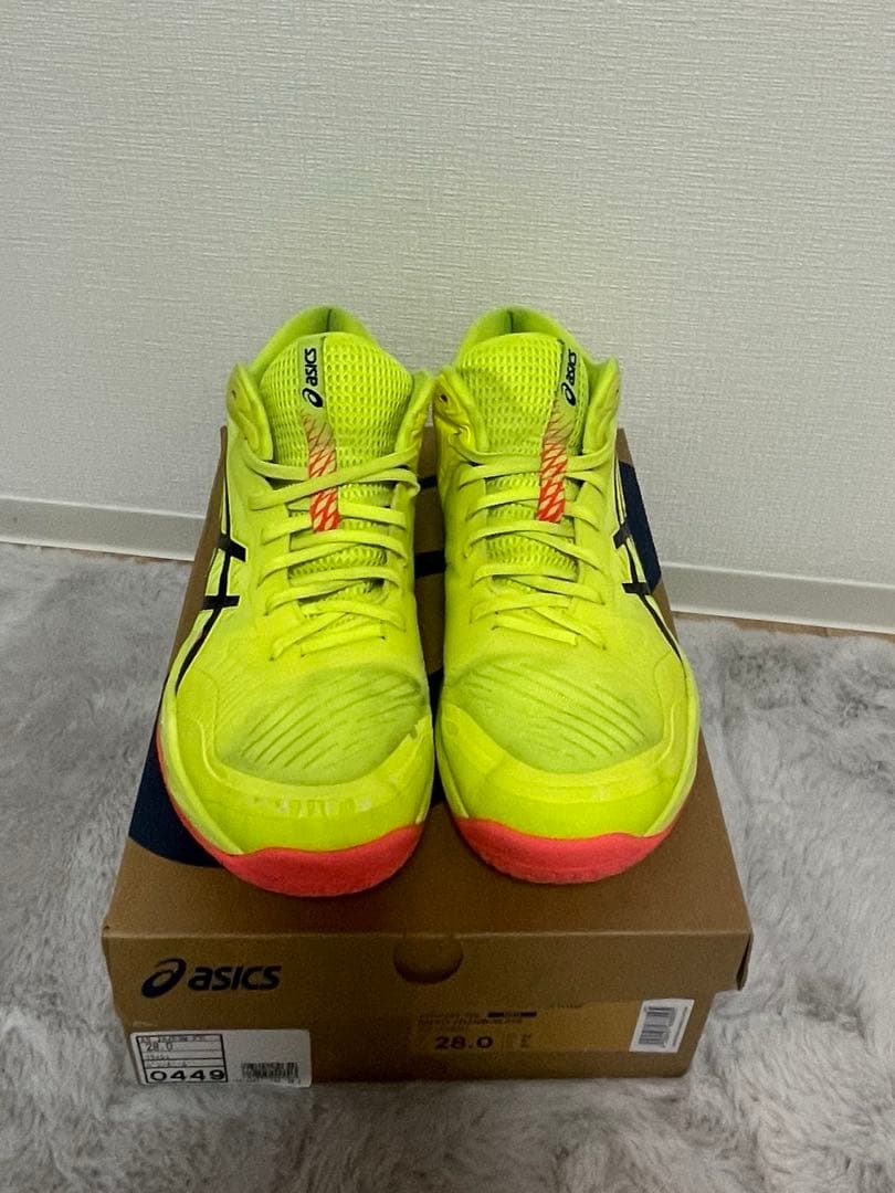 シューズ SKY ELITE FF MT 3 PARIS 28cm