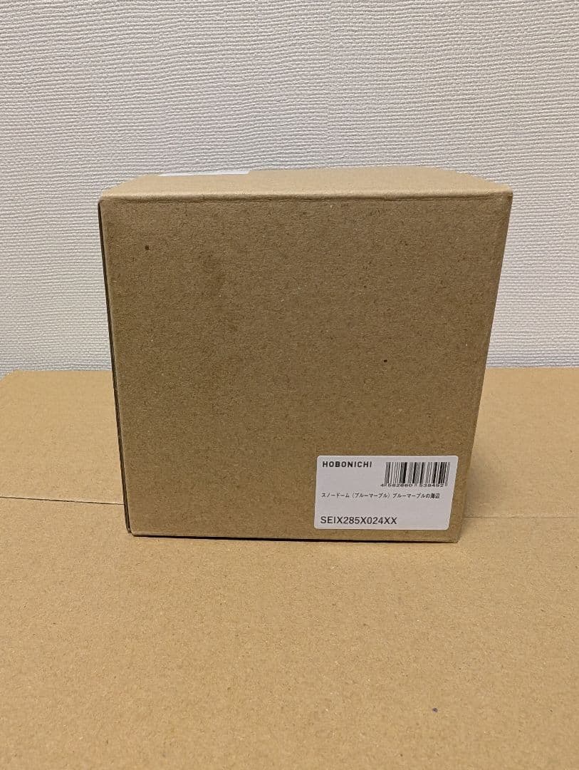 金津沙矢香 スノードーム ブルーマーブルの海辺