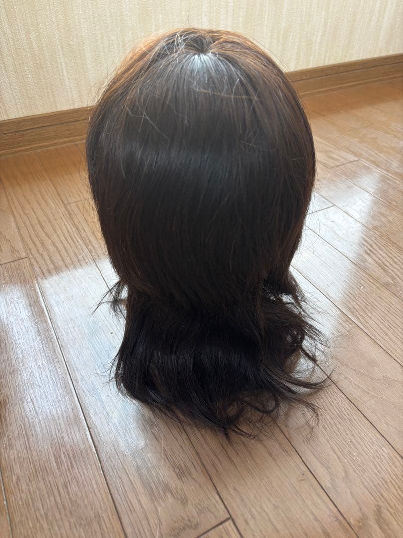 【値下げ！】ユーカリジャパン【国家試験本番用】カットウィッグ×5