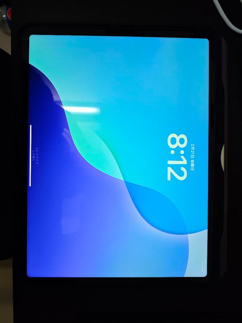 iPad Pro 12.9 第5世代