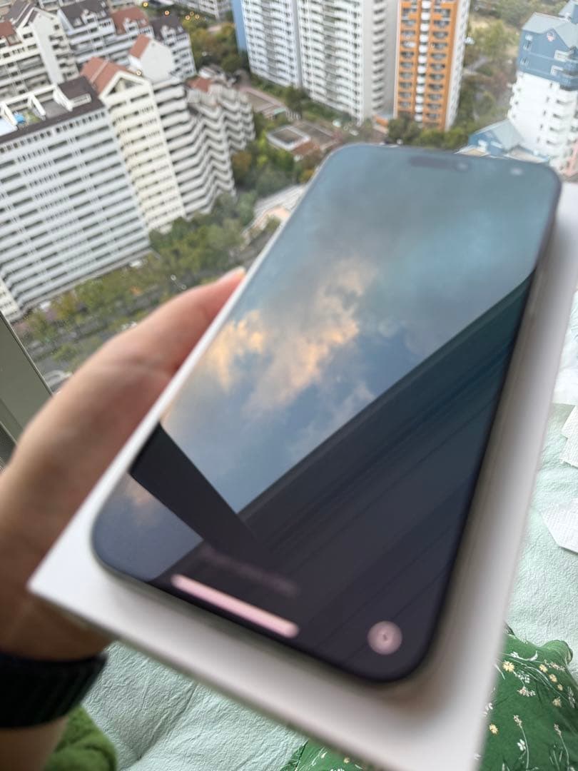 Simフリー Apple iPhone 15 Pro Max 256GB 美品