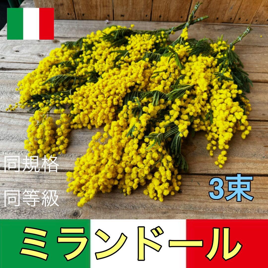 モモ様 リクエスト 3点 まとめ商品