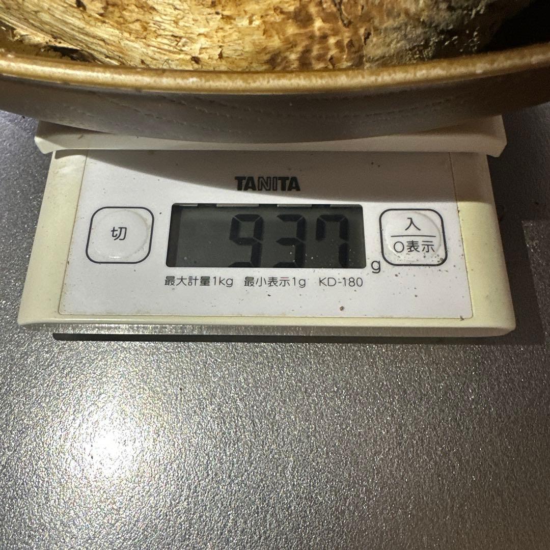 格安訳ありまとめ売り‼️国産天然松茸‼️930g