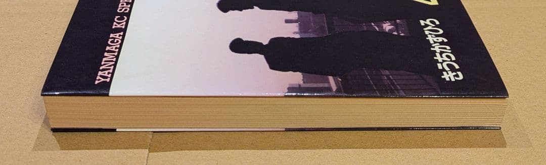 BOP HIGH SCHOOL　ビーバップハイスクール　48巻　初版