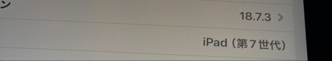 Apple iPad 第7世代10.2インチ スペースグレー 32GB [美品]