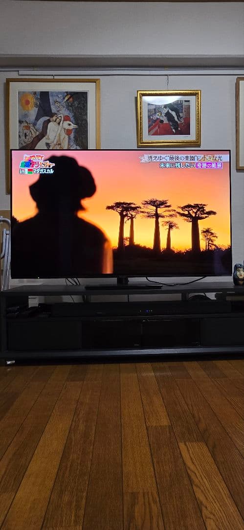 VIERA　TH-55LZ1800 　 55V型 /Bluetooth対応