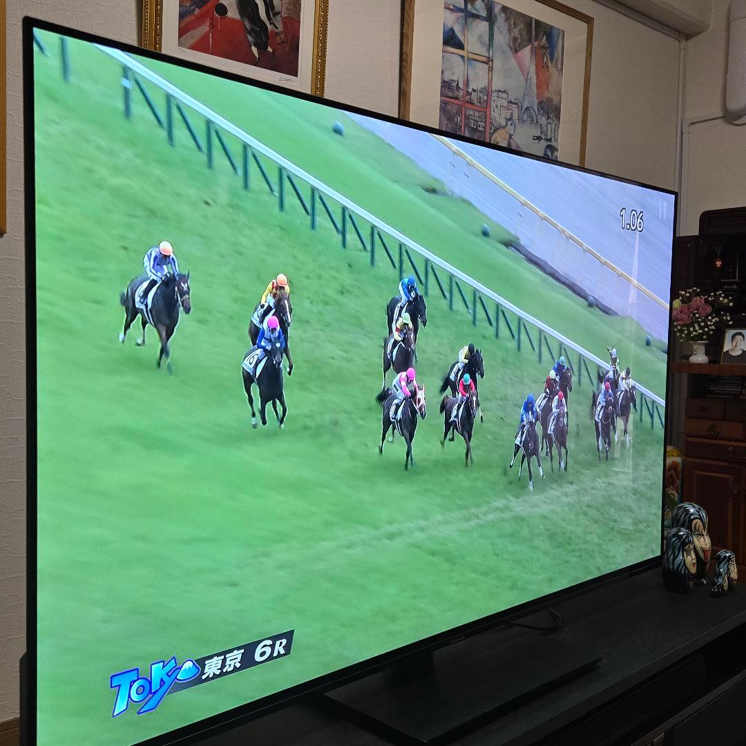 VIERA　TH-55LZ1800 　 55V型 /Bluetooth対応