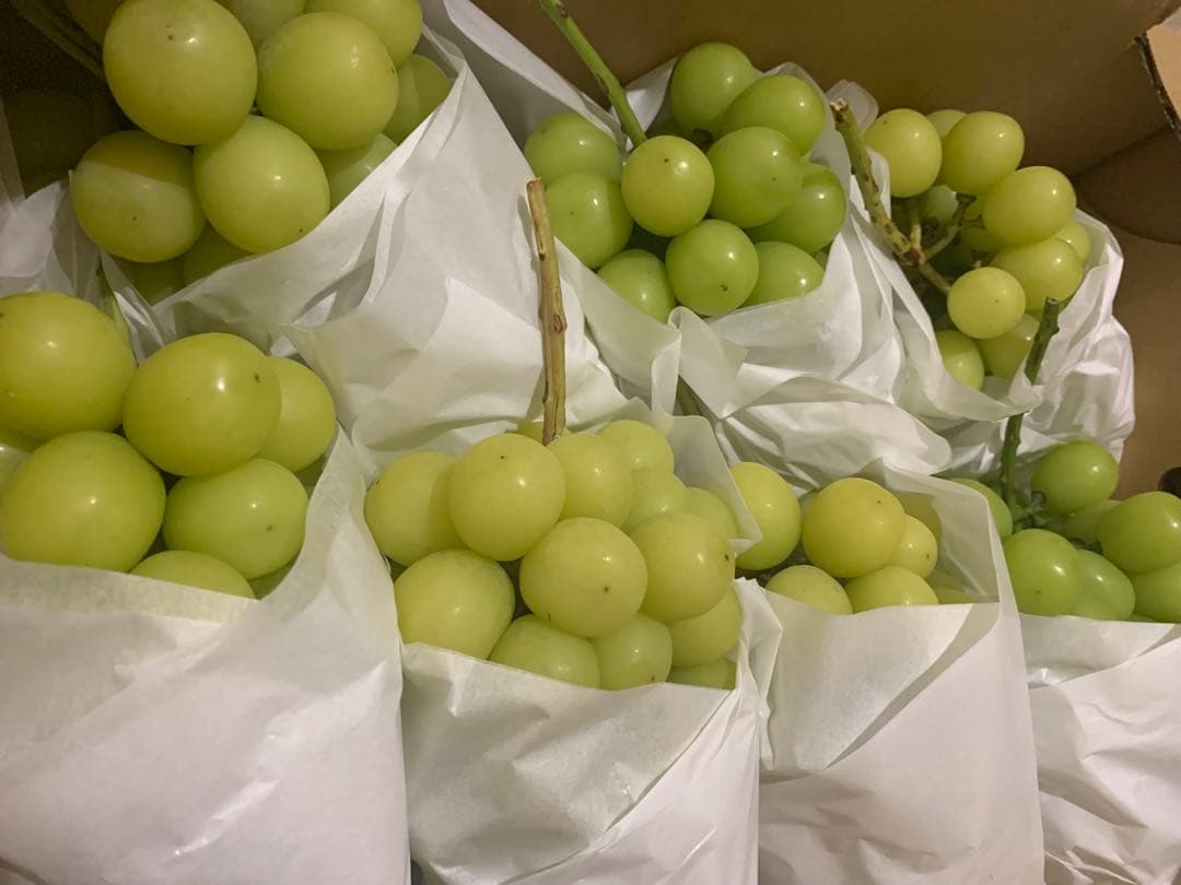 長野県産　大粒シャインマスカット箱込み5㌔以上