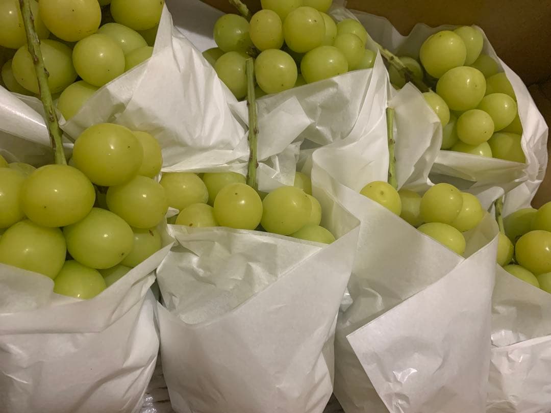 長野県産　大粒シャインマスカット箱込み5㌔以上