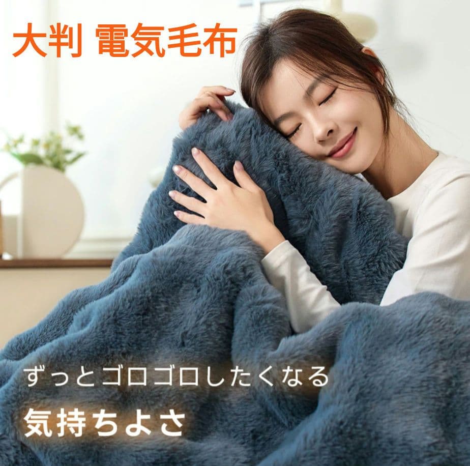 電気毛布 ふわとろ毛布 掛け敷き電気ブランケット ふわもこ膝掛け厚手 即暖 大判