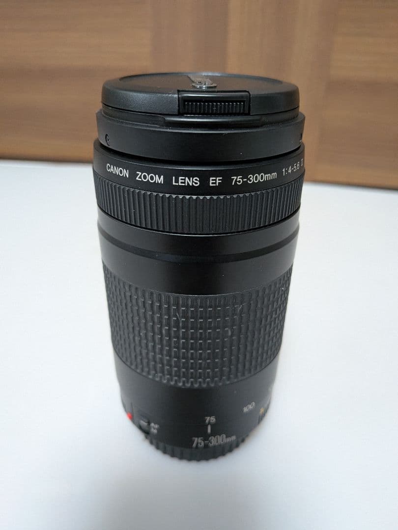 Canon EOS KISS 一眼レフカメラ 2本レンズ付き　動作確認済み