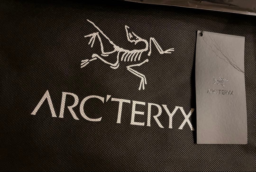 【美品】M ブラックサファイア Arc'teryx エンブレムフリースフーディ