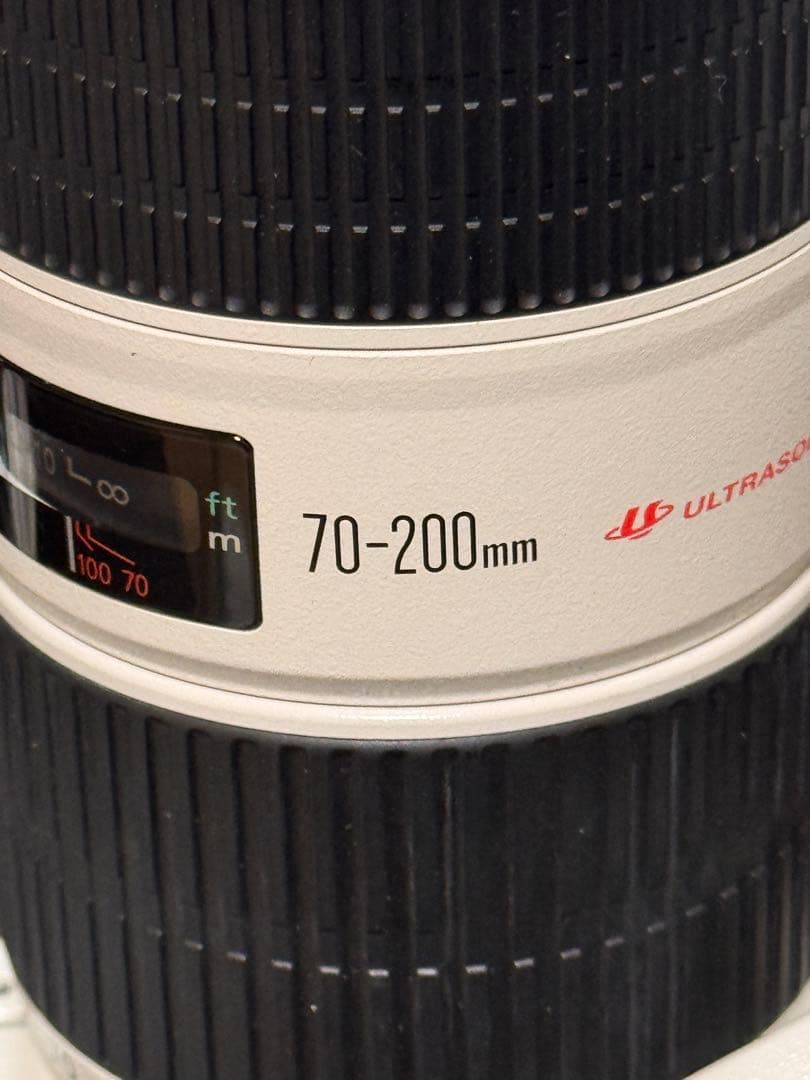 購*門様 Canon EF 70-200mm f/4L IS USMズームレンズ
