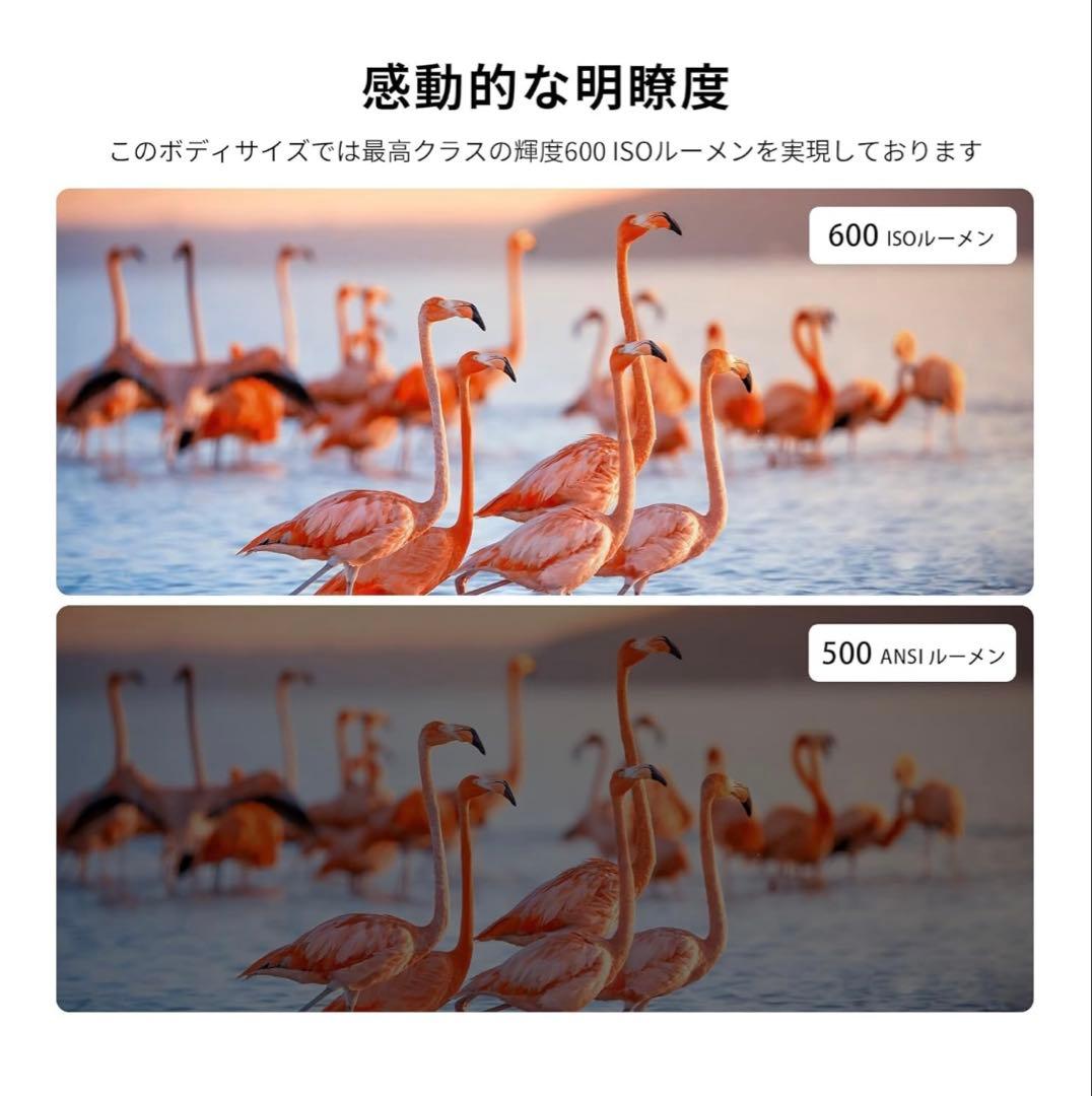 XGIMI ElFinプロジェクター