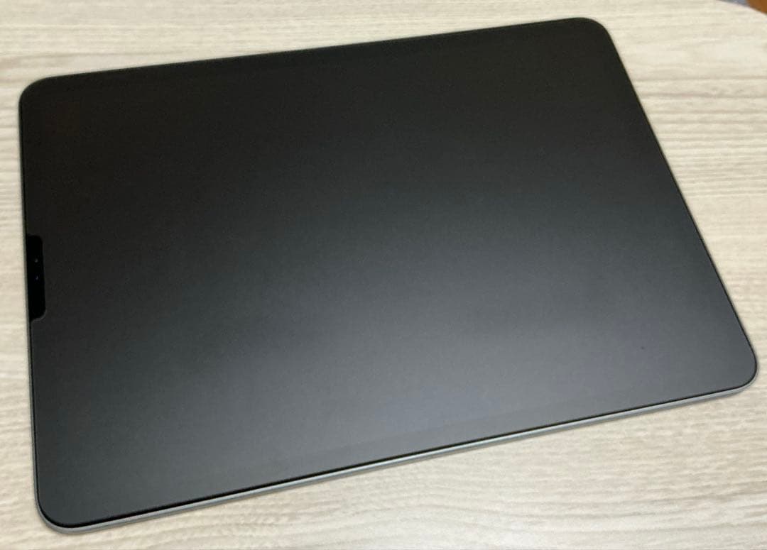 【⚠️ジャンク品】iPad Pro 11inch 第2世代