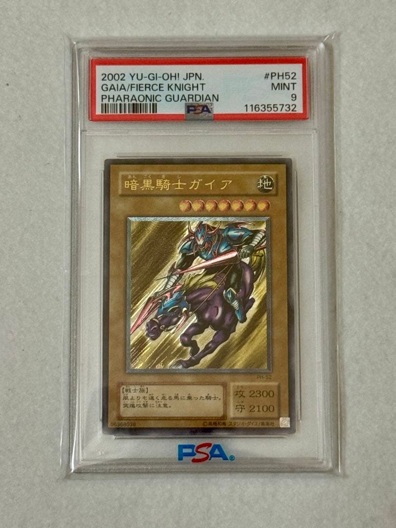 【PSA9】暗黒騎士ガイア　レリーフ