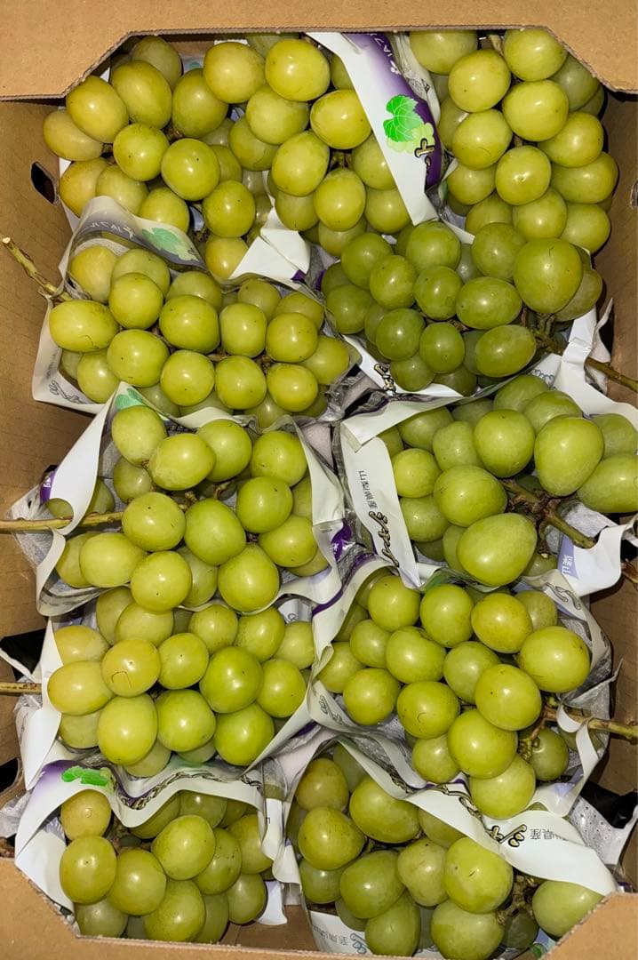 山梨県産ぶどう⭐️シャインマスカット⭐️家庭用訳あり品11房入り箱込み約5.5キロ