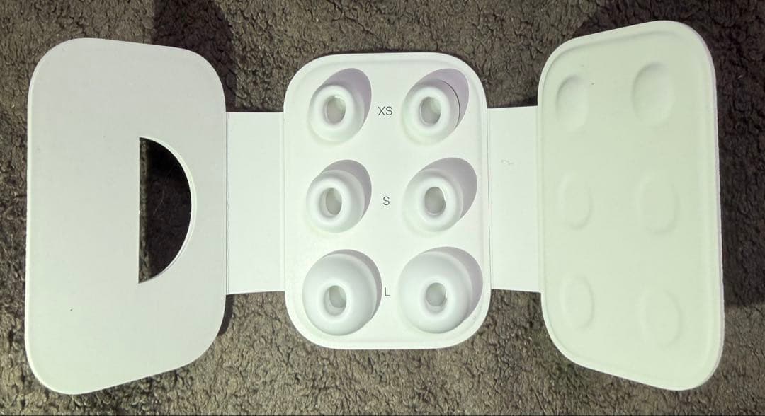 イヤホン AirPodsPro2 Typc-C