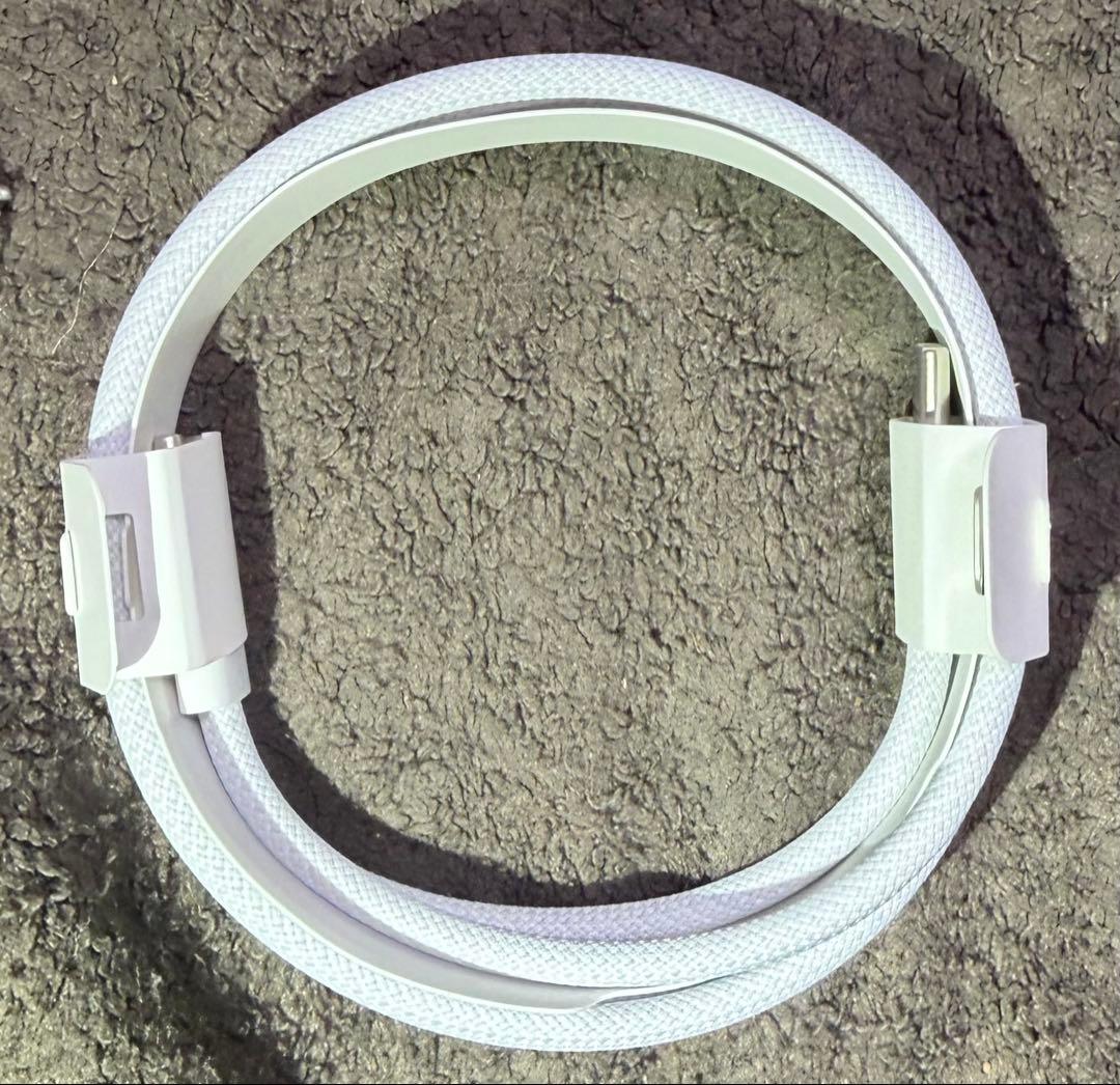 イヤホン AirPodsPro2 Typc-C