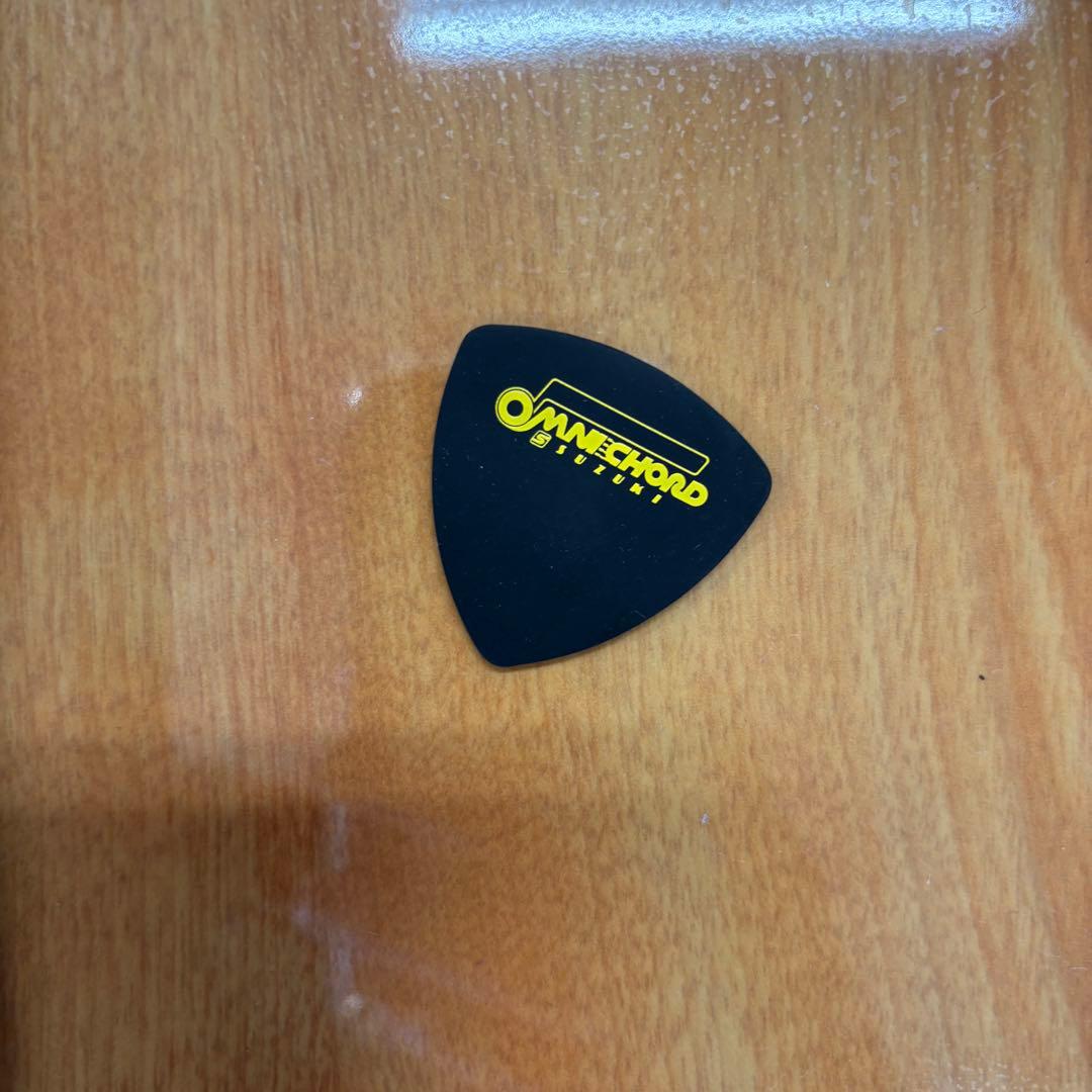 その他 OMNICHORD