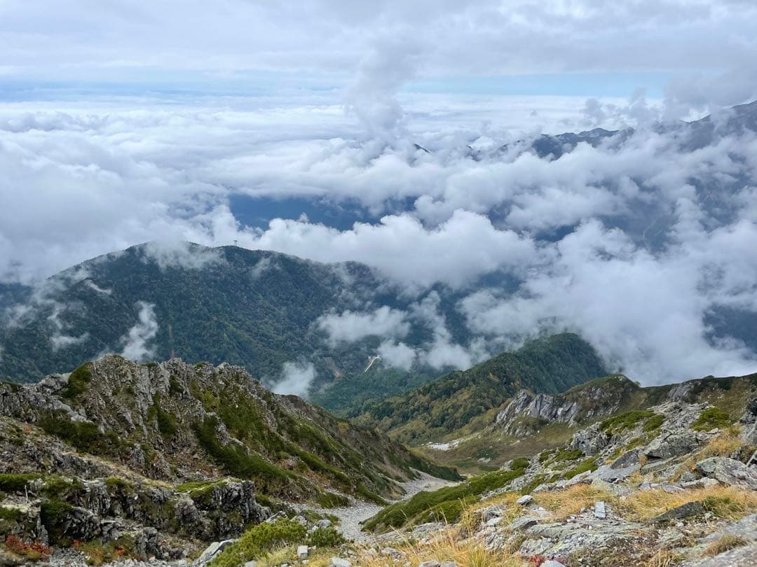 AISEIページです。