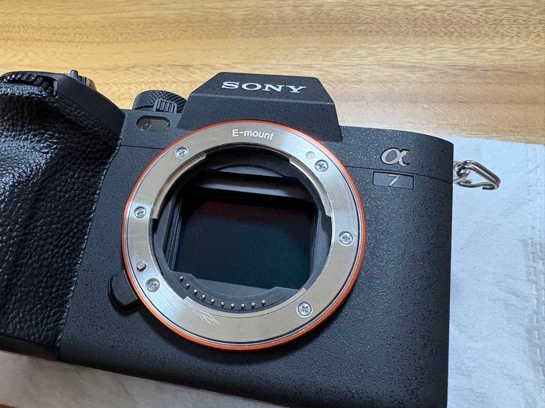 【撮影枚数3996枚】SONY α7iv 本体