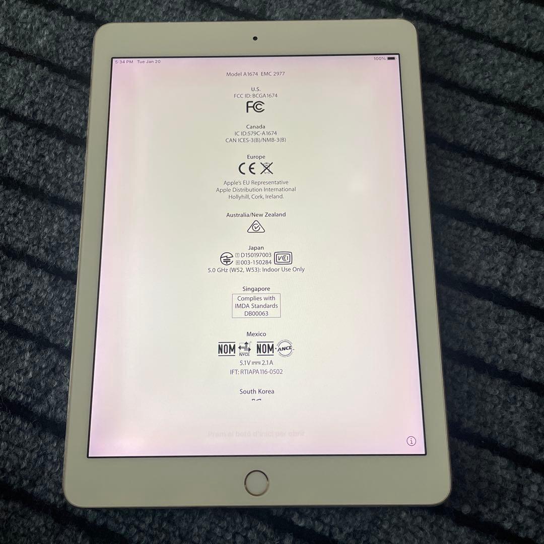 209 iPad Pro 9.7 256GB SIMフリー ゴールド