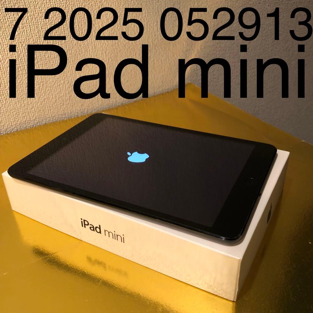 7 2025 052913 美品 iPad mini アイパッドミニ
