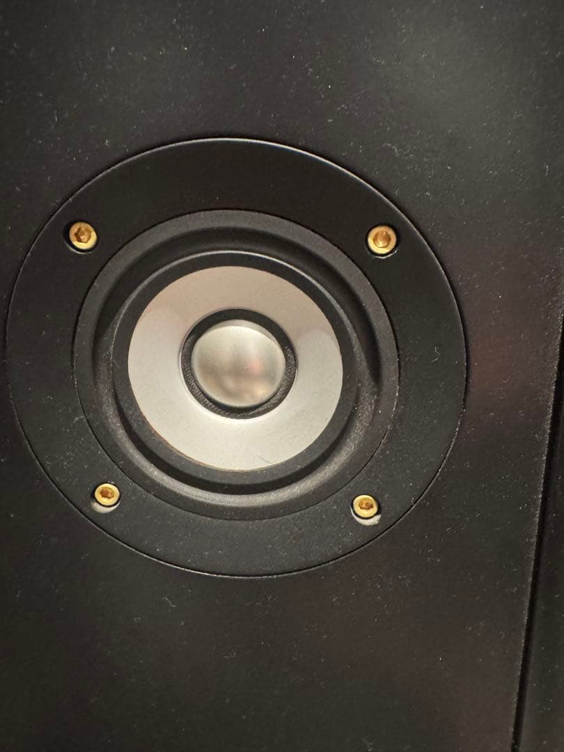 Thiel CS2.4 ハイエンドスピーカー 動作確認済