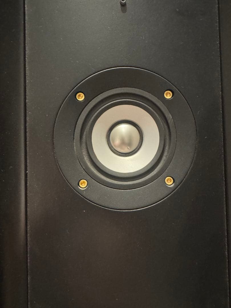 Thiel CS2.4 ハイエンドスピーカー 動作確認済