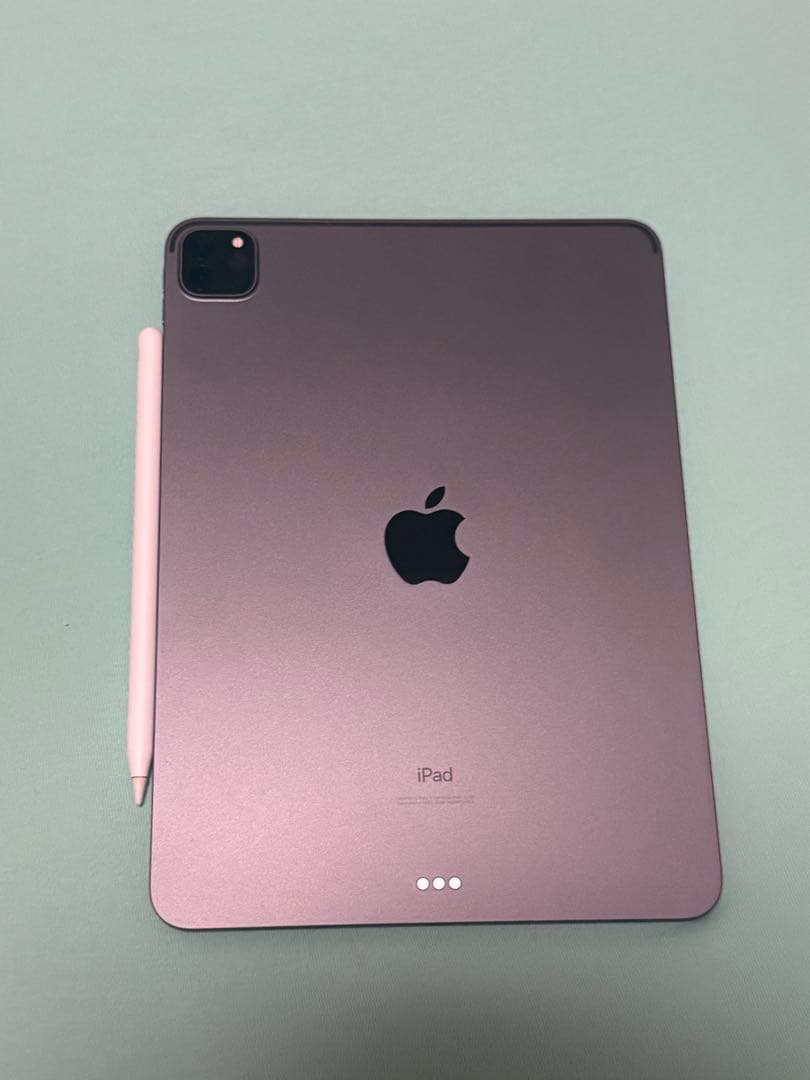 iPad Pro 第2世代 11インチ 256GB Apple Pencil